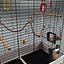 Animal Cages Collection V1