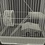 Animal Cages Collection V1