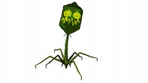 3D microbe 3 - bacteriophage