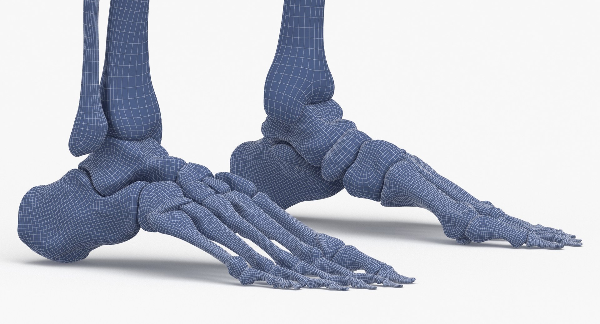3D model human rib cage spine https://p.turbosquid.com/ts-thumb/P7/twsbOR/QX/wireframe_0012/jpg/1617004125/1920x1080/fit_q87/d29ba2d89bf9f7f6e20ea566c65d630d29c1d4ad/wireframe_0012.jpg
