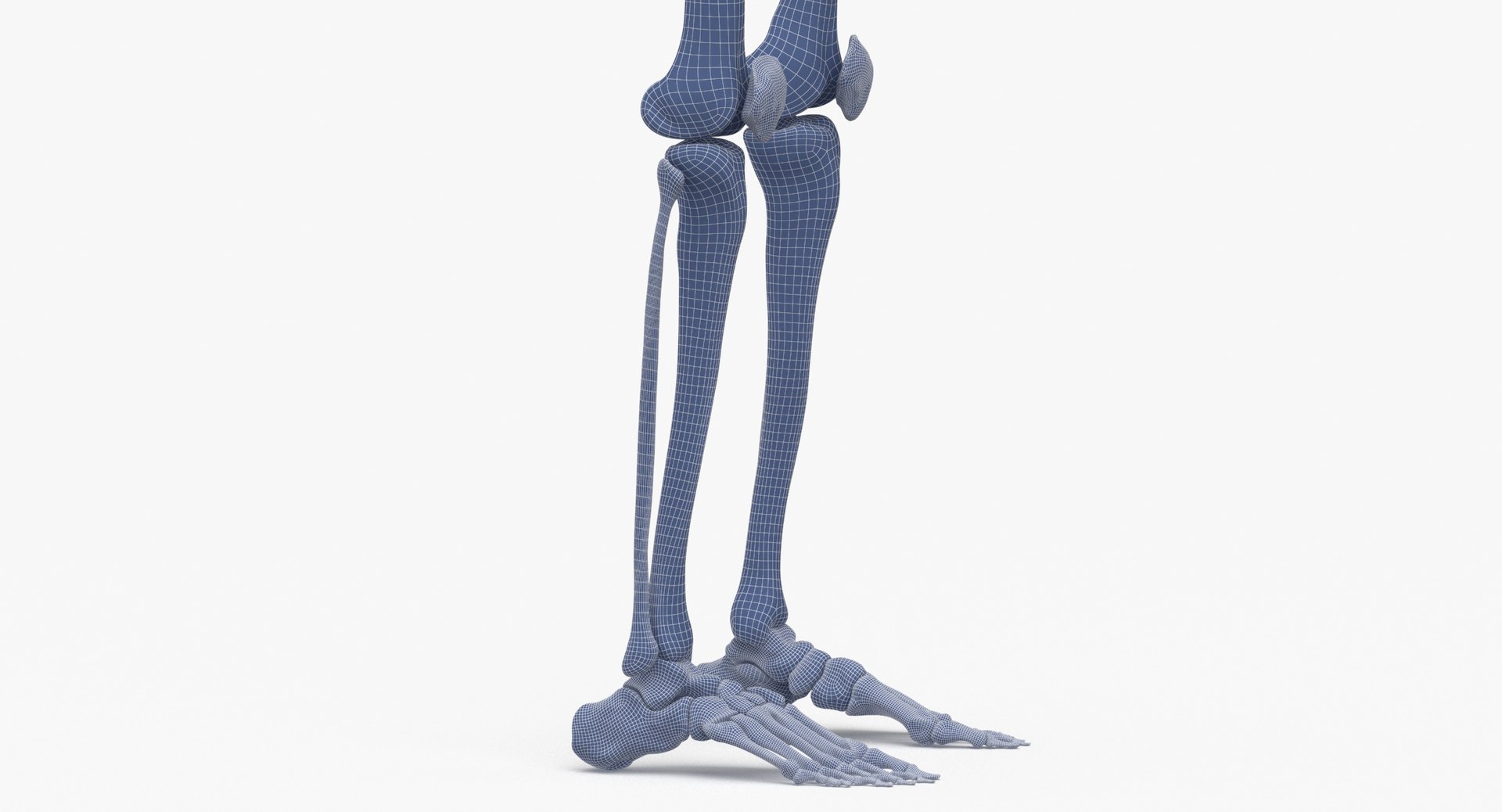 3D model human rib cage spine https://p.turbosquid.com/ts-thumb/P7/twsbOR/z0/wireframe_0010/jpg/1617004115/1920x1080/fit_q87/d8e86ab7d312c4a8958d1ea45ff6405baceeb433/wireframe_0010.jpg