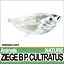 Ziege B