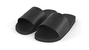 Pool Sliders 3D
