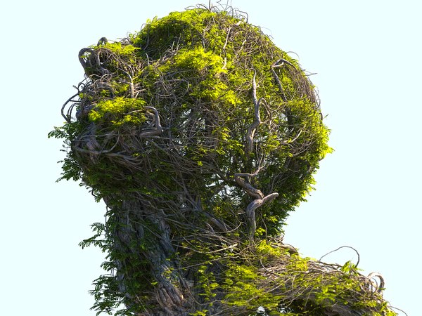 tree head hd 3D