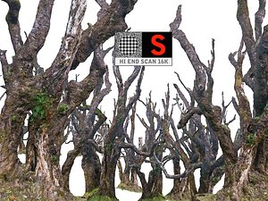 3D scanned laurel forest hd model