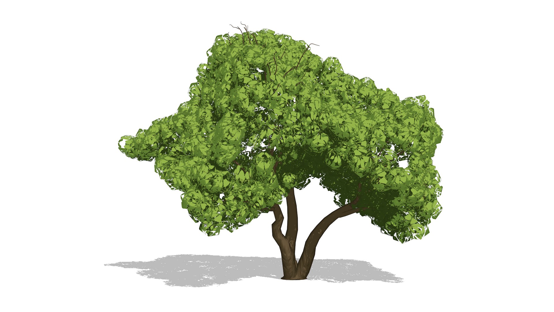 Set Of Two Trees 3D - TurboSquid 2279570