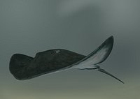 StingRay Model:: Custom Rigged:: Hi-res Textures