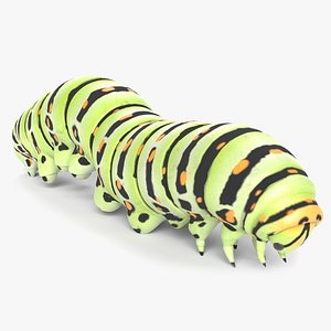 Animated Caterpillar