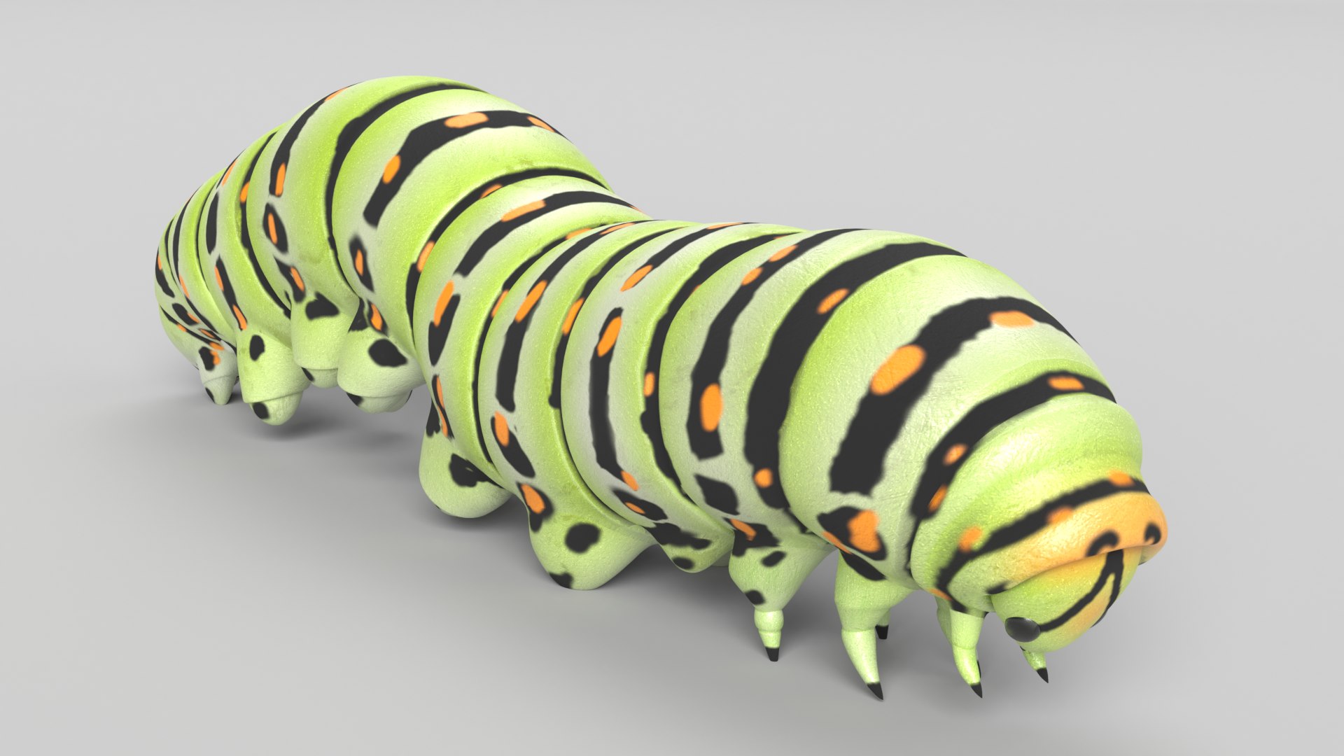 イモムシ品 JTT Online Shop『ラジ・昆虫シリーズ イモラジ 赤外線 RC』