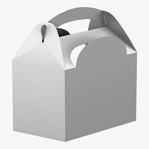 3d 3ds carry box