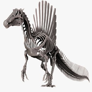 3D model Spinosaurus 2020 version Full Set Skeletons Sculpt Project