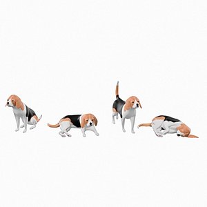 3D beagle 01