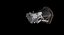 Parker Solar Probe