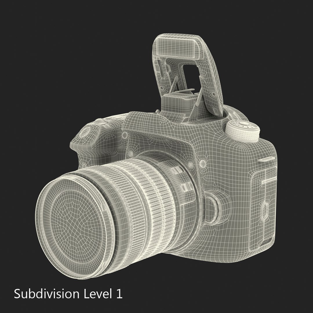 3D canon cameras 2 model https://p.turbosquid.com/ts-thumb/P9/WVIN2Y/30yRniu7/canoncamerascollection3ds3dmodels31/jpg/1494011119/1920x1080/fit_q87/e3562ffe75fce94ed2817bac5ebb84154f98573b/canoncamerascollection3ds3dmodels31.jpg
