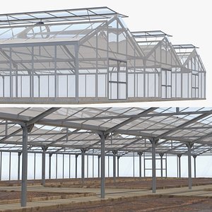 Multi-Span Greenhouse With Soil Beds