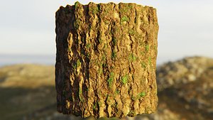 Procedural Mossy Tree Bark Shader - PBR Nature Texture