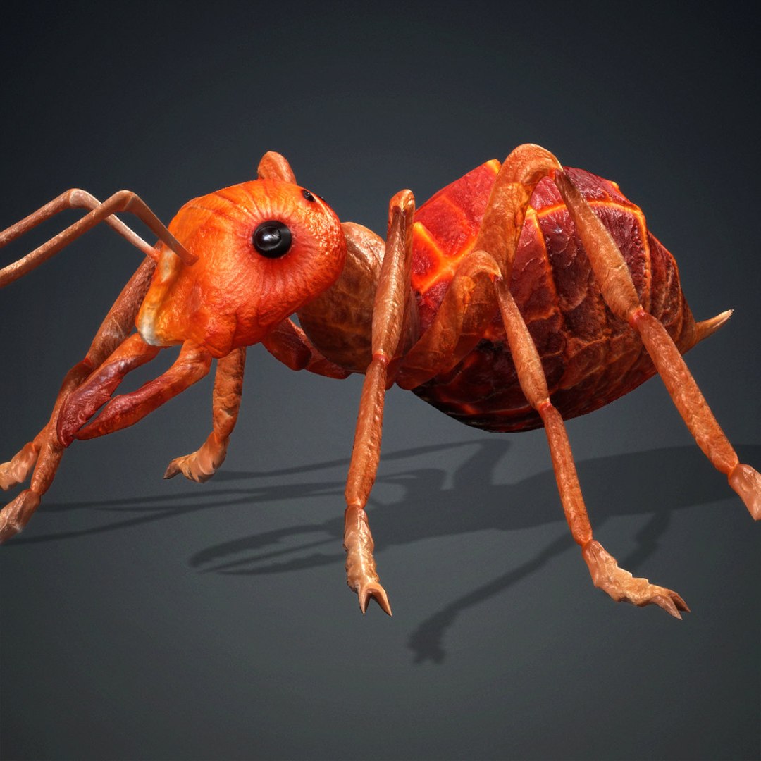Ant-V3d 3D https://p.turbosquid.com/ts-thumb/P9/gWkYsG/PQ/v3d/jpg/1771908214/1920x1080/fit_q87/17a58c63729364f1f52cc4bb94dfeff1865d0c10/v3d.jpg