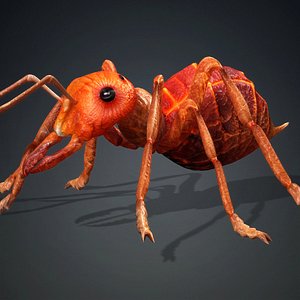 Ant-V3d