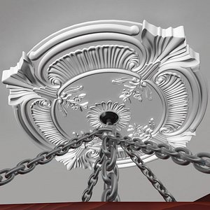 Ceiling Medallion 4