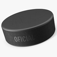 Official Ice Hockey Puck
