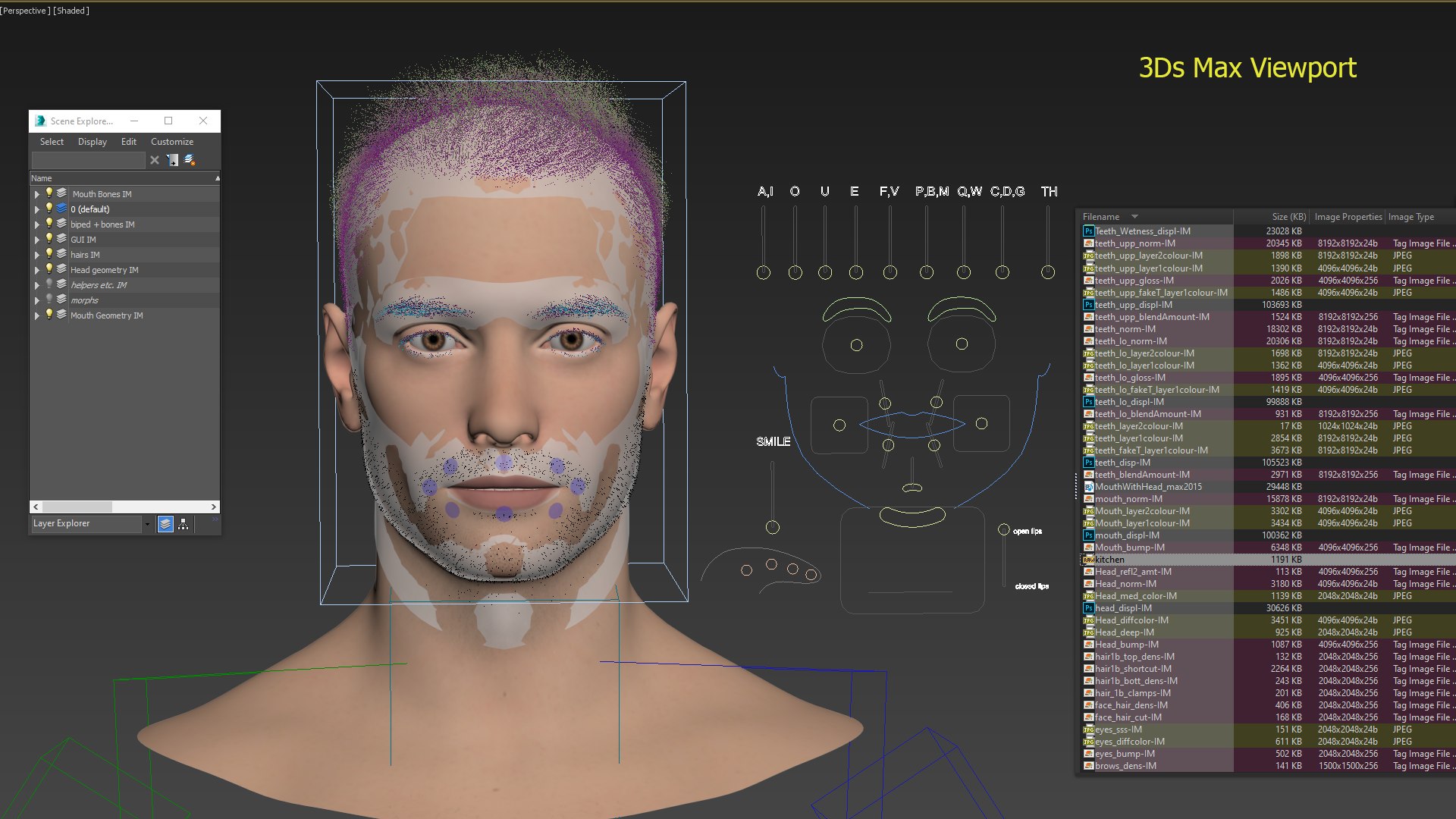 Teeth with Head 3D model https://p.turbosquid.com/ts-thumb/PA/H9ysL1/Nw/head_max/png/1738012730/1920x1080/fit_q87/40bc825e971887790bbc4e6524be22ffa54c0d93/head_max.jpg
