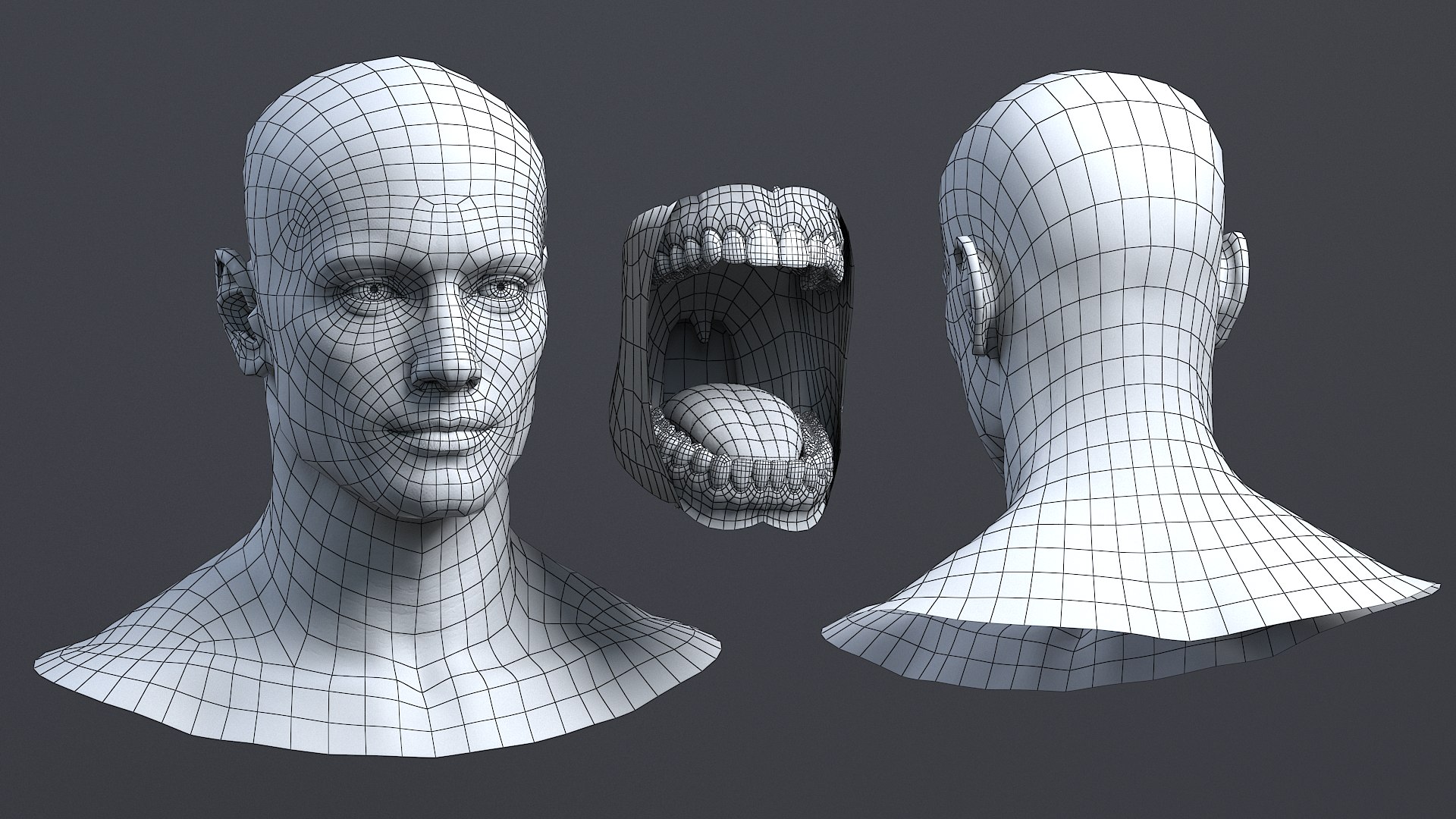 Teeth with Head 3D model https://p.turbosquid.com/ts-thumb/PA/H9ysL1/cn/head_wire/png/1739197071/1920x1080/fit_q87/3c8864537e03882c616e4af3865d1ed30e0f797b/head_wire.jpg