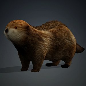 Otter-A2