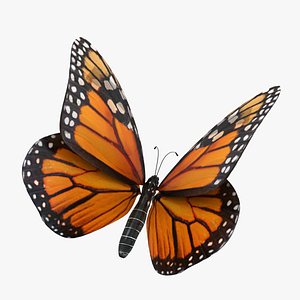 Flying Monarch Butterfly 3D