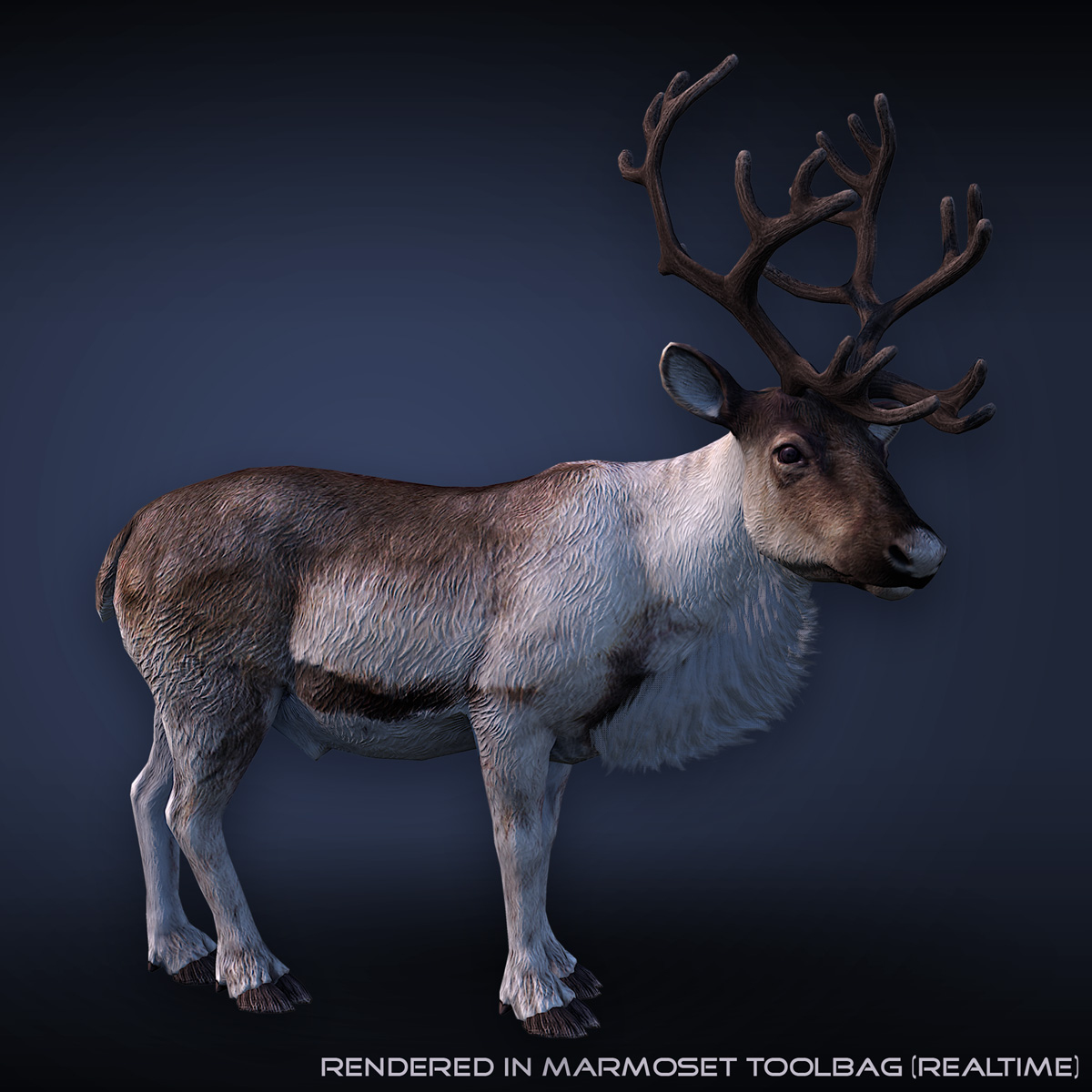 rigged reindeer deer 3d model