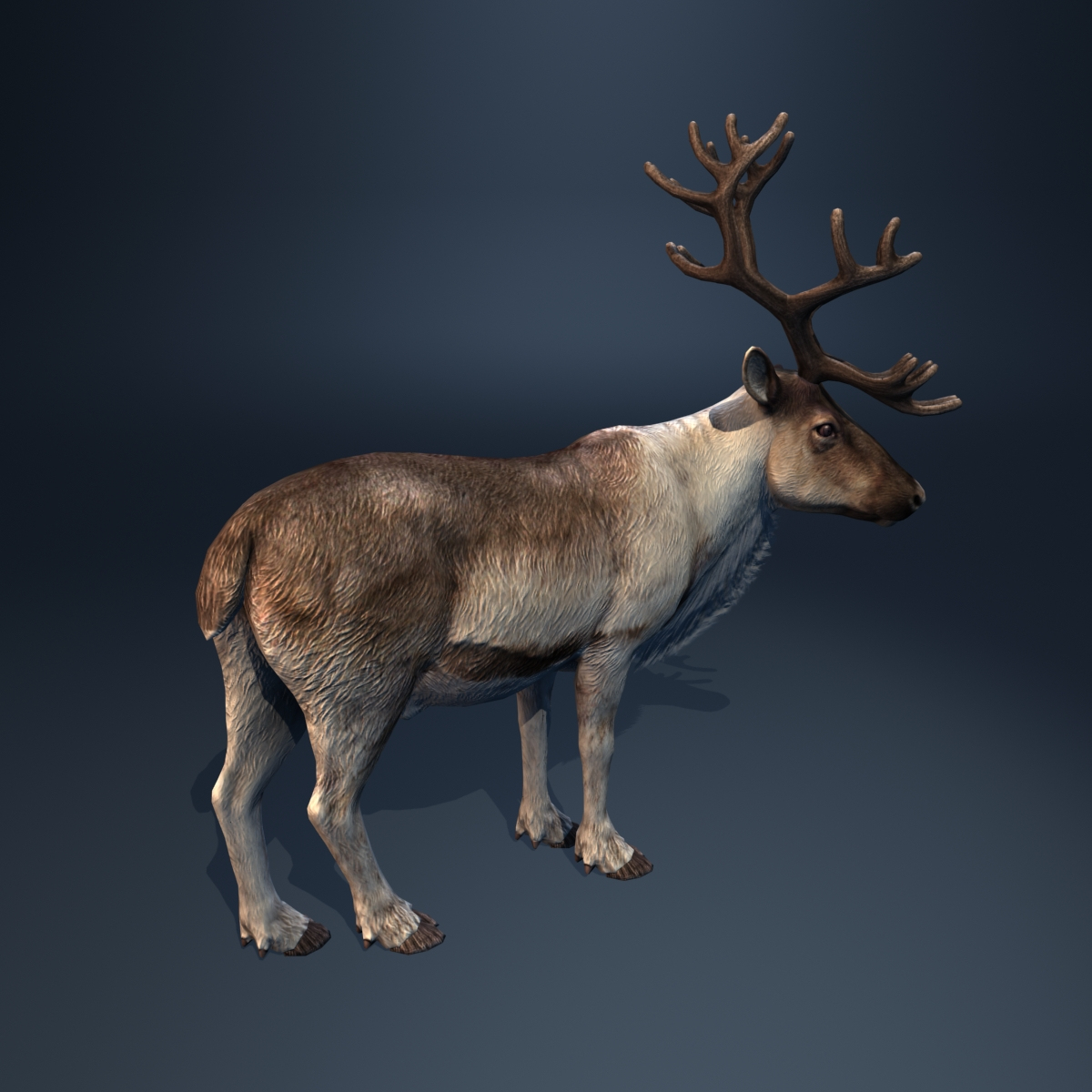 Rigged Reindeer Deer 3d Model