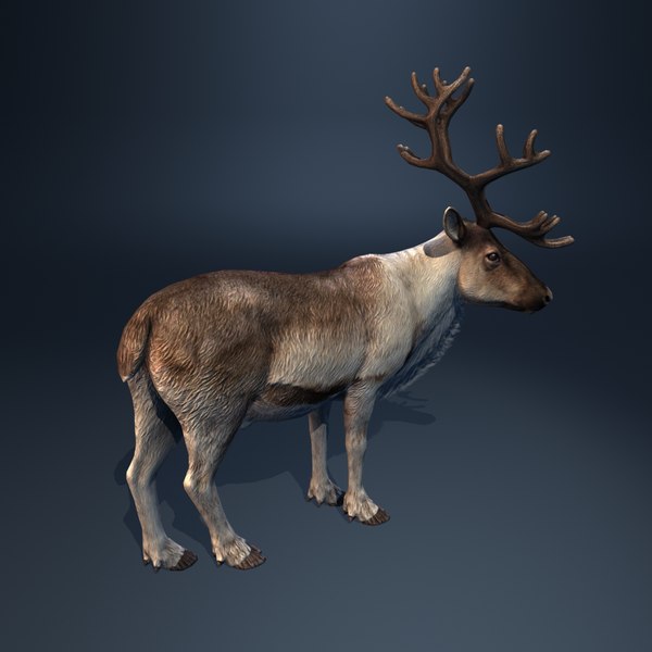 rigged reindeer deer 3d model