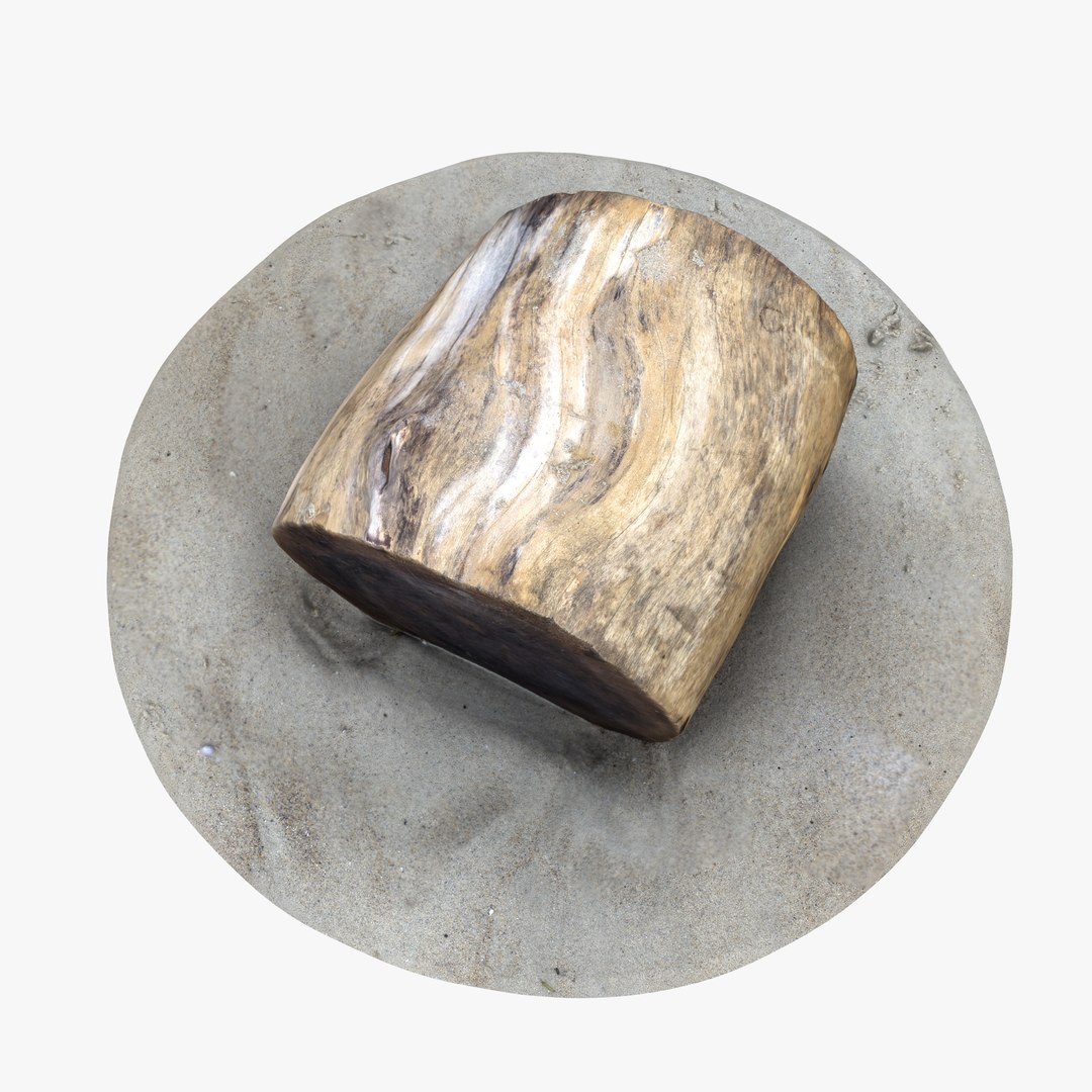 Rustic Wood Stump 2 Model - TurboSquid 1230369