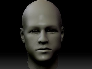 head brad pit 3d model
