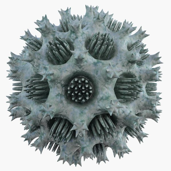 modelo 3d Micro Objeto MHT 018 - TurboSquid 890419