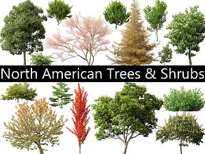 3D North American Trees Shrubs Pack 43