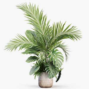 Plants collection 1022 3D