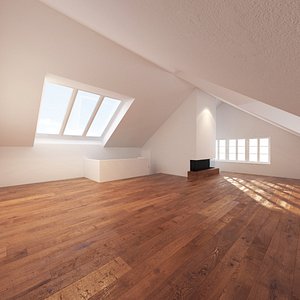 attic loft max