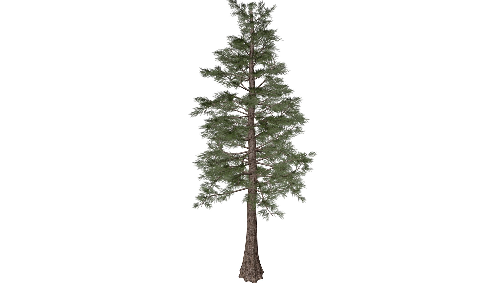 Western Red Cedar Tree Collection 3D https://p.turbosquid.com/ts-thumb/PB/1esl6H/yI/westernredcedar_high30/png/1779223156/1920x1080/fit_q87/8bcc12c3e34c9c7680c54c8e05f6b24693f0117a/westernredcedar_high30.jpg