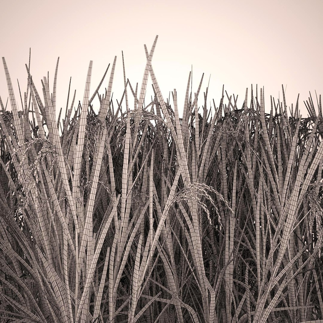 3ds Max Oryza Asian Rice Fields