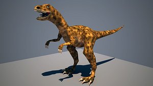 Velociraptor (RIGGED)