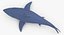 3D model great white shark