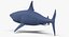 3D model great white shark