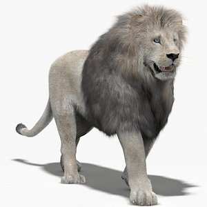 Lion 1 Animated Fur White