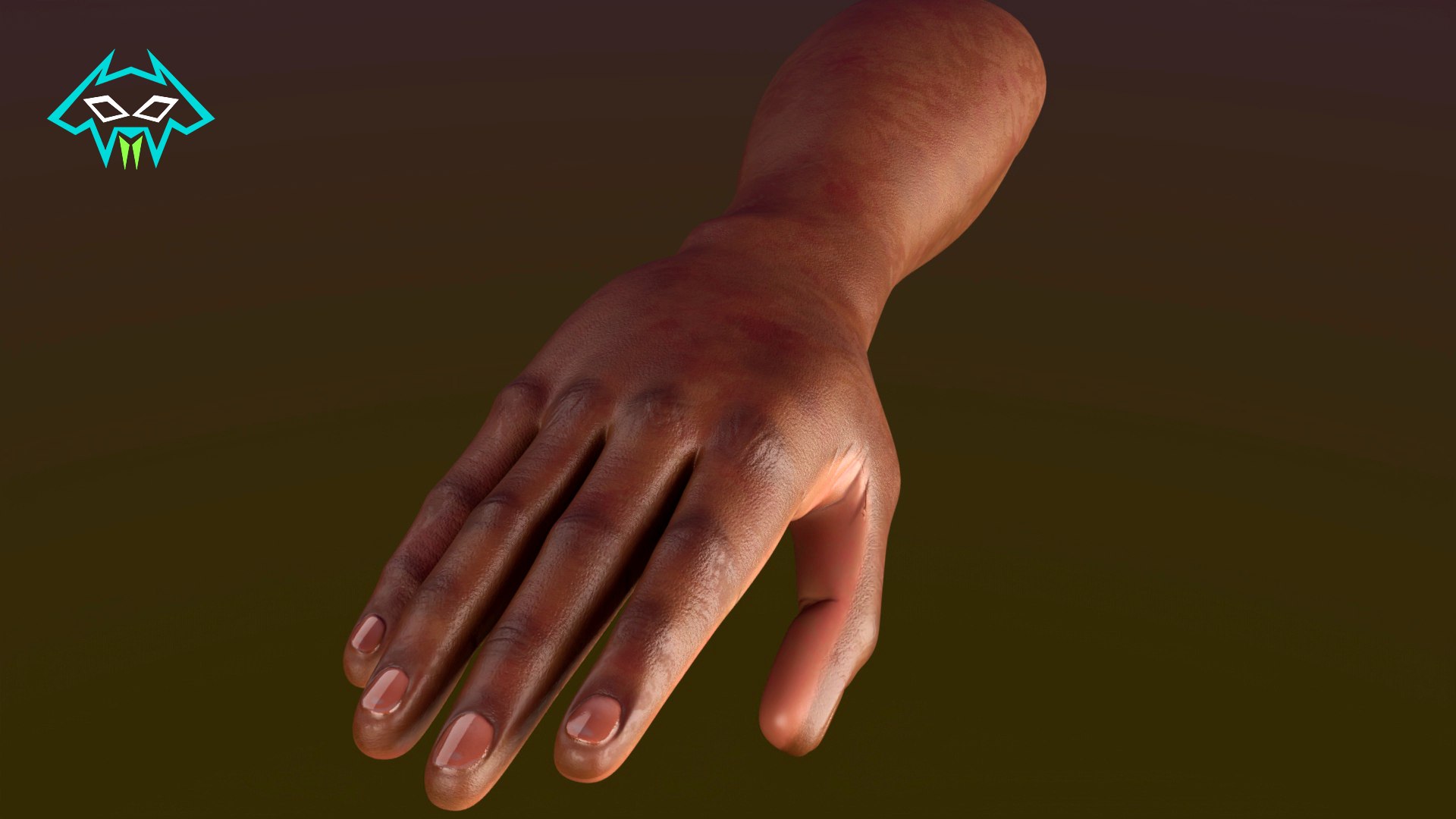 African Hand 3D Model - TurboSquid 2288955