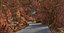 Rock Desert Road