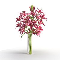 Lily flower