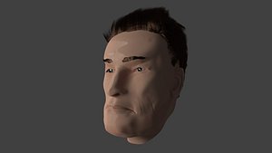 Schwarzenegger's head
