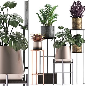 3D plants exotic model