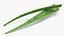 3D leaves aloe vera