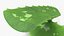 3D leaves aloe vera